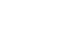 GV Flores